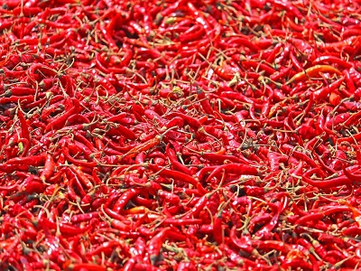 red chilli