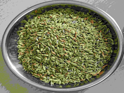 fennel